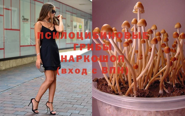 jwh Арсеньев