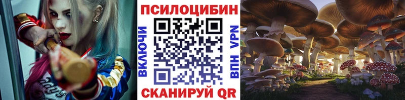 Псилоцибиновые грибы GOLDEN TEACHER  хочу   Нея 
